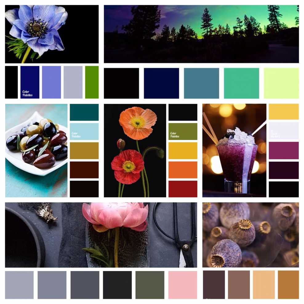 Сочетание цветов с черным