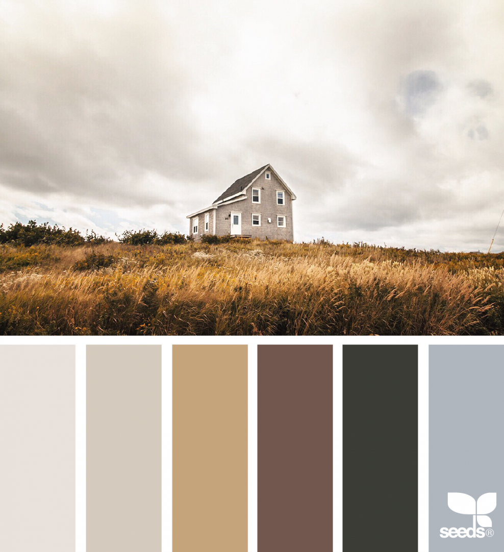 Цветовая палитра сочетание архитектура