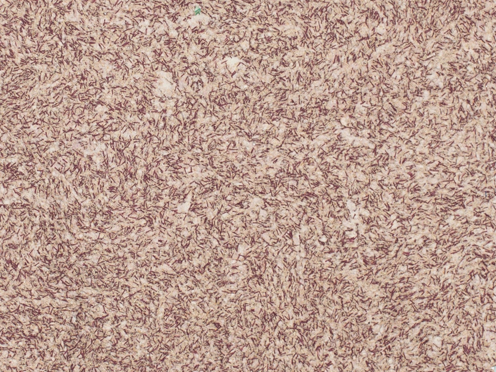 Токорассеивающий линолеум Tarkett IQ Granit SD