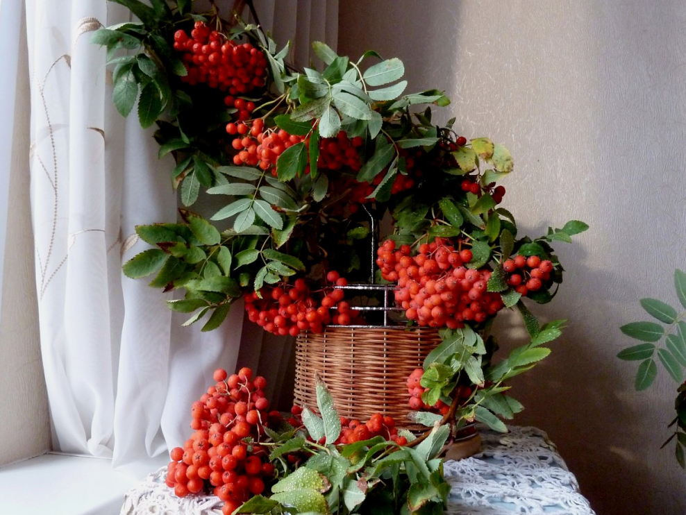 Картина дом с рябиной