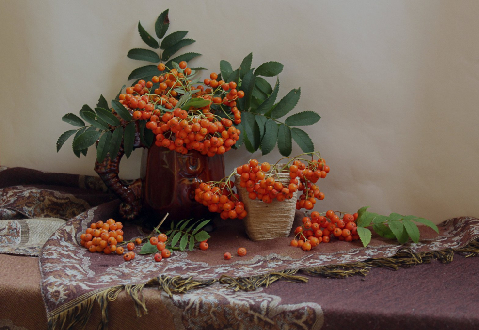 Андрияка натюрморт рябина