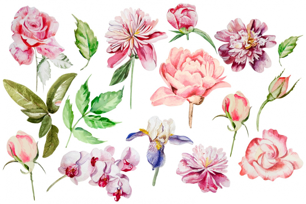 Мелкие Акварельные цветы
