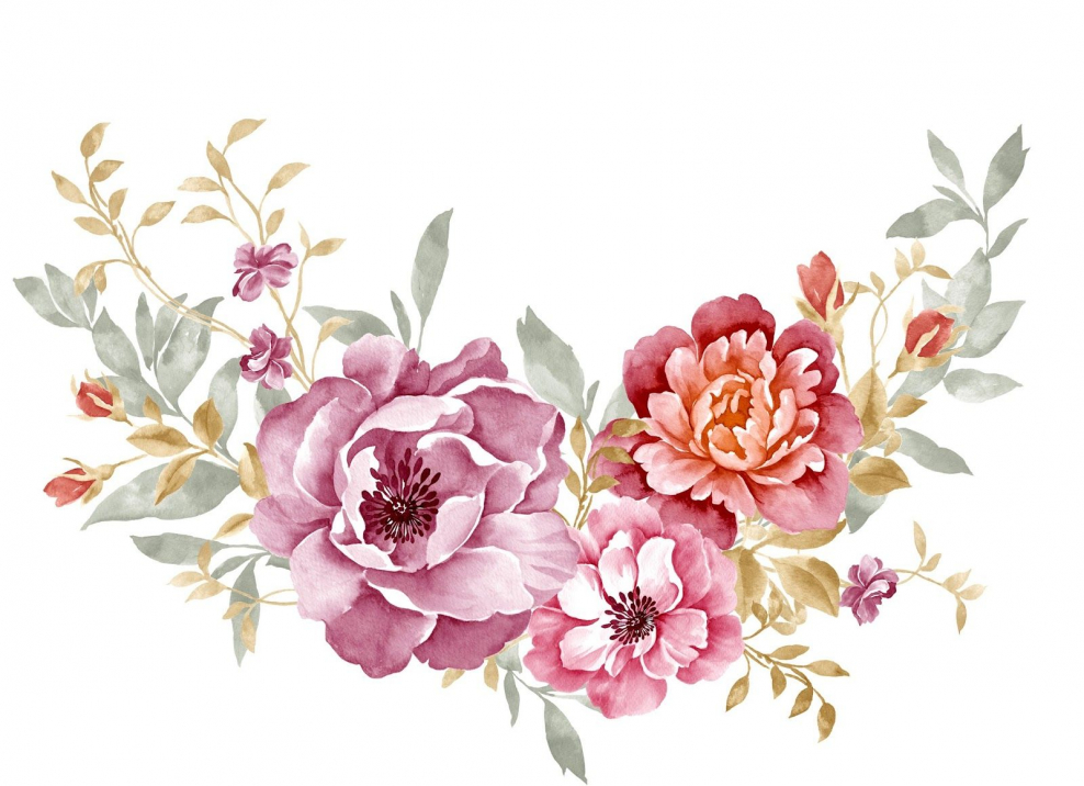 Пионы акварель