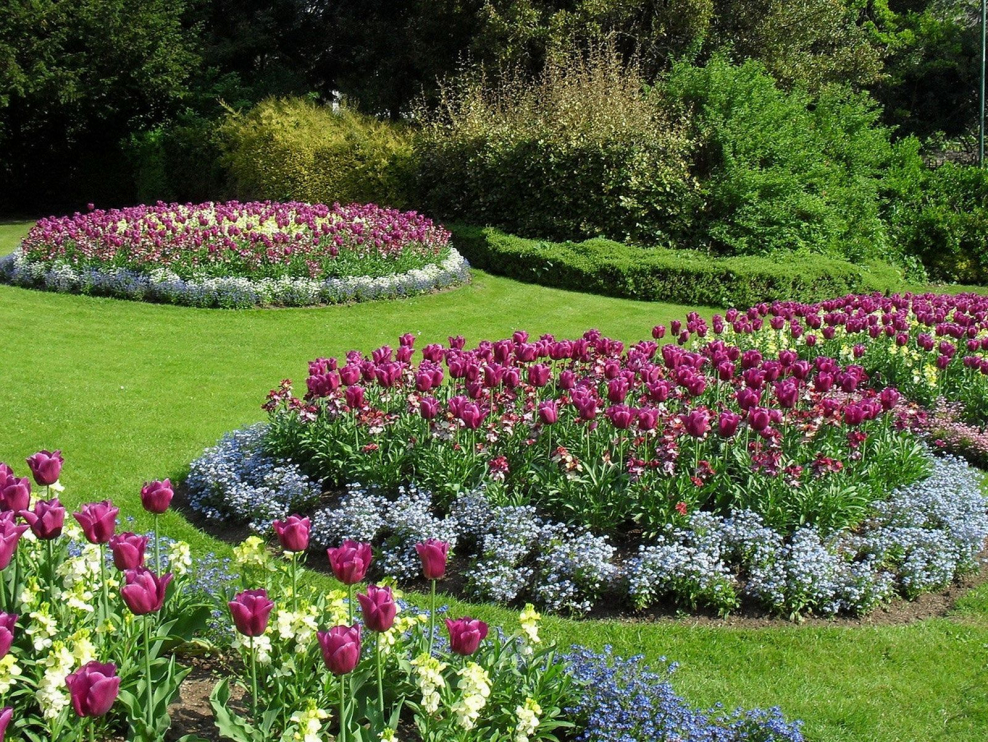 Цветы на прозрачном фоне