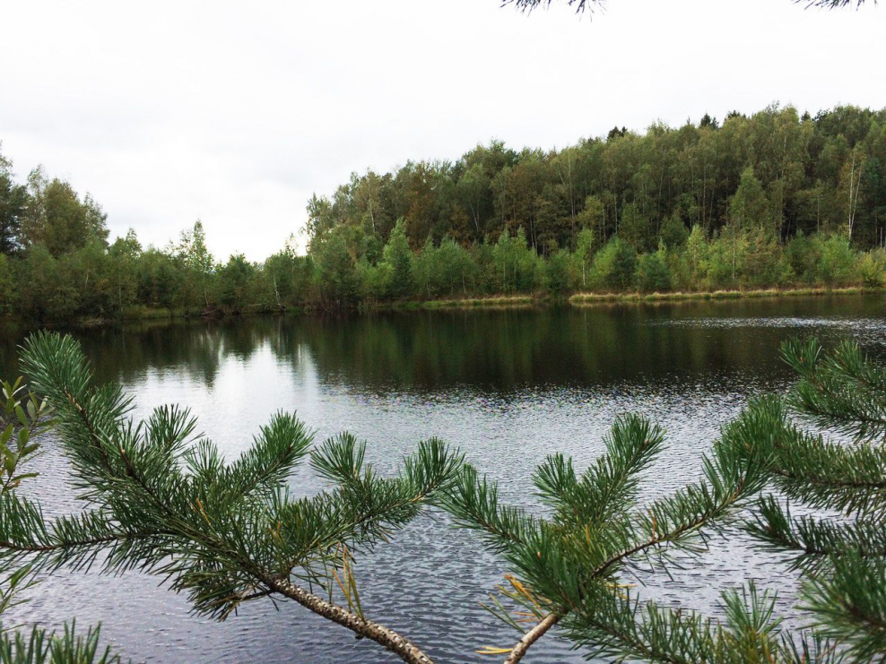 Русские сезоны КП