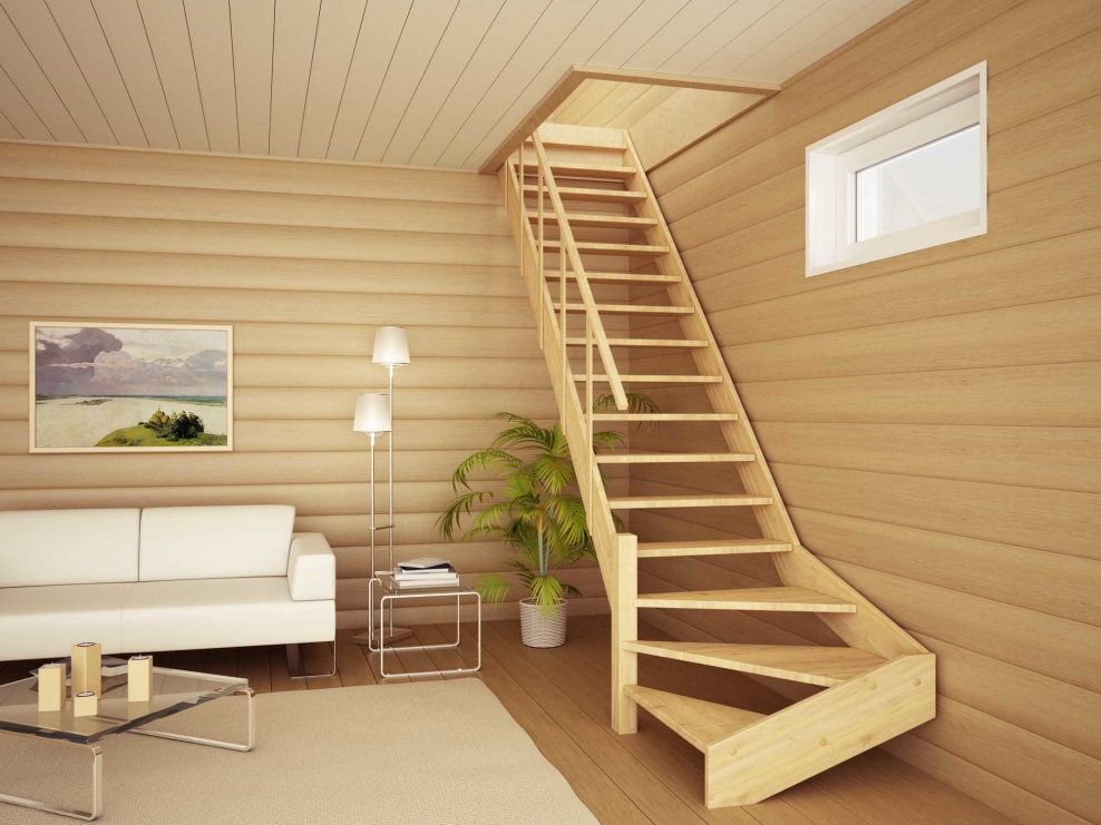 Лестница лс-225м