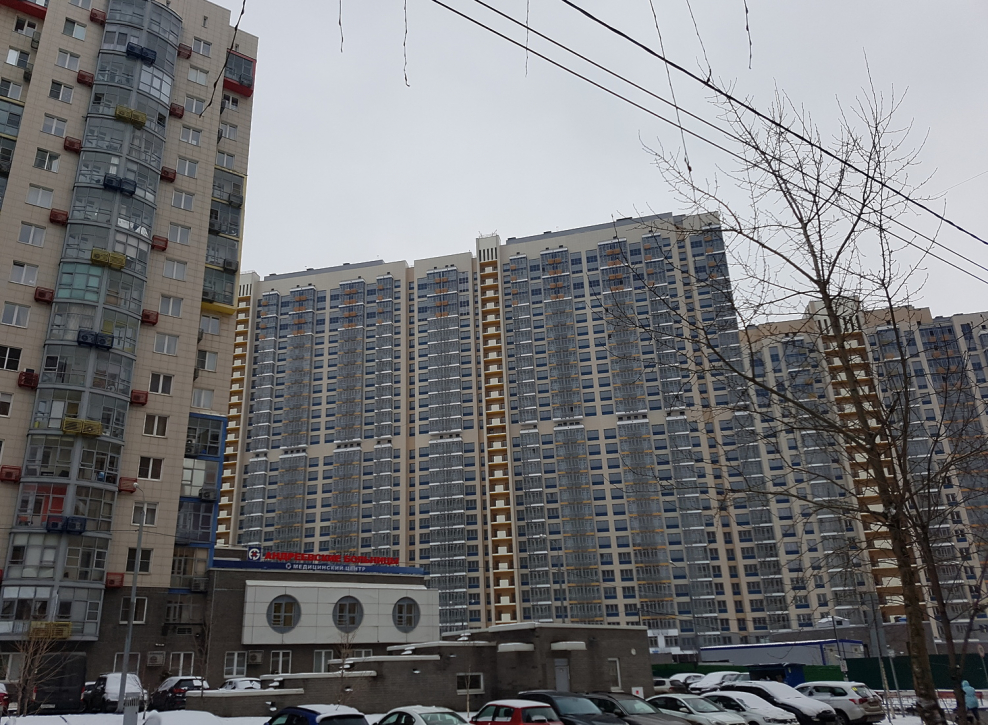 Павшинская Пойма Спасский мост