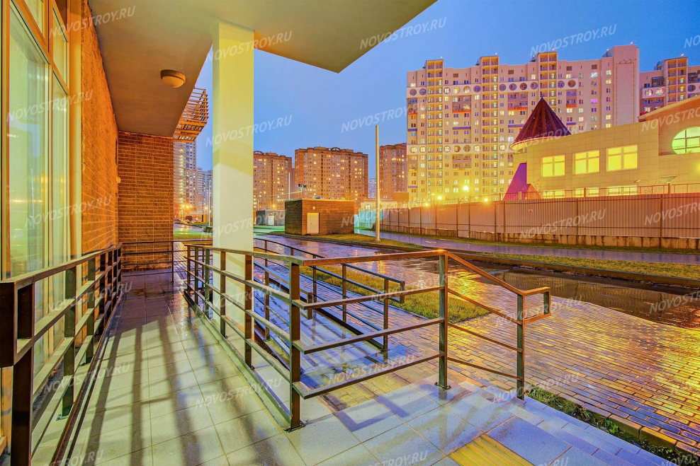 Павшинская Пойма Спасский мост