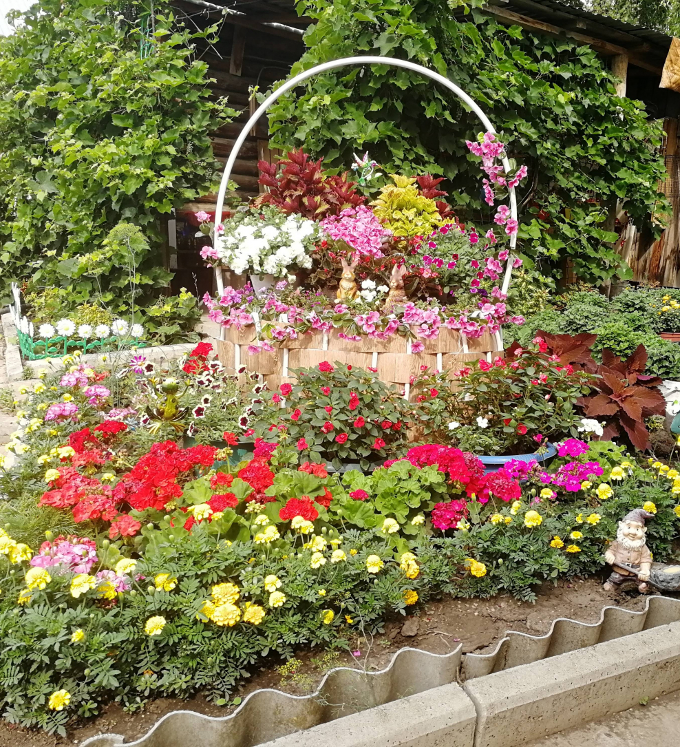 Красивые цветники