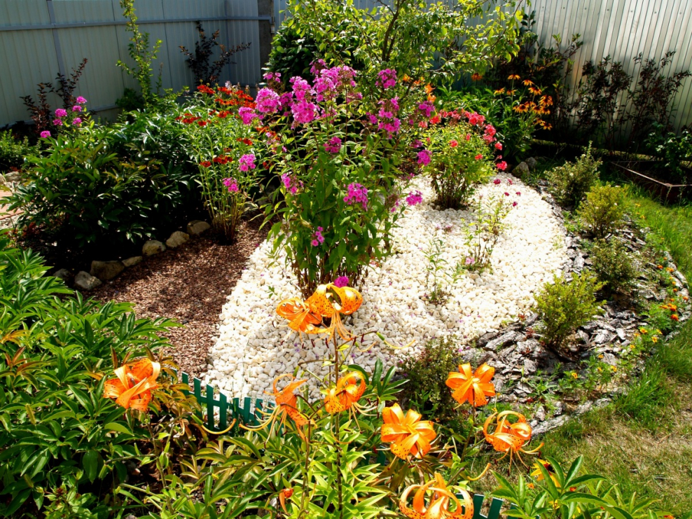 Мой цветник на даче