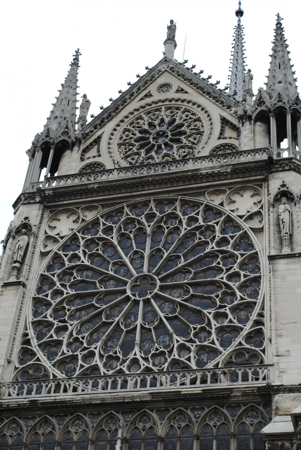 Роза Готика архитектура