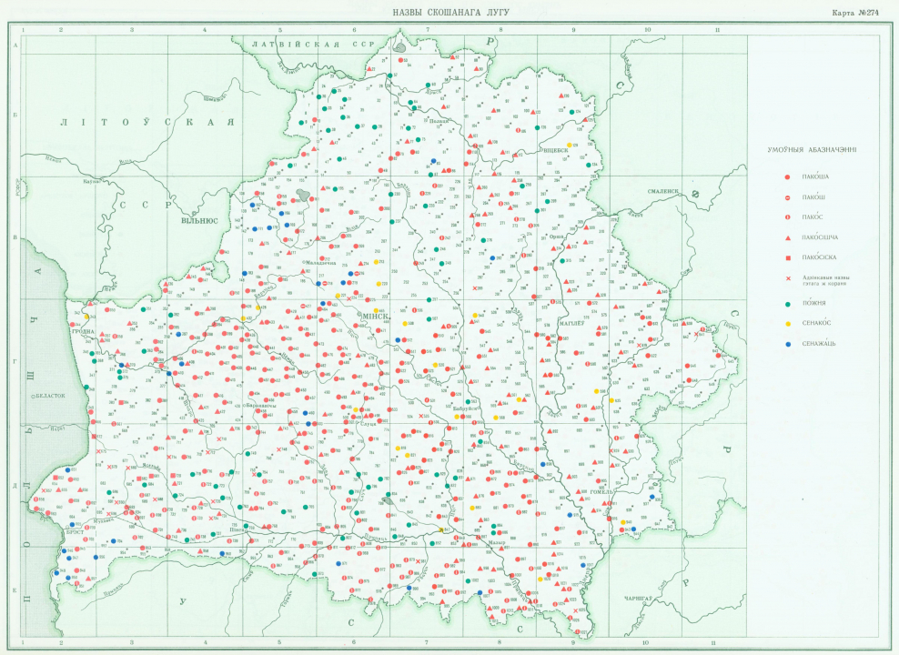 Мои 25 соток