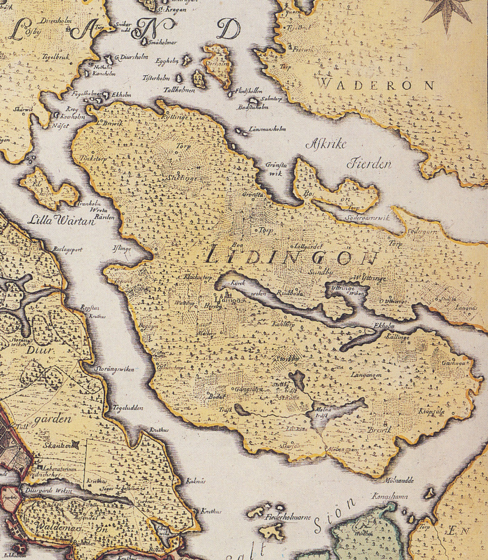 Лозовский поселок Украина фото луг