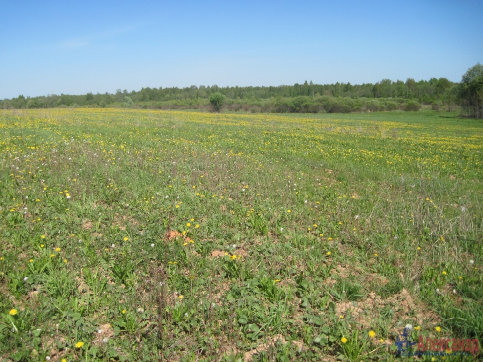 Мкр Петровский луг