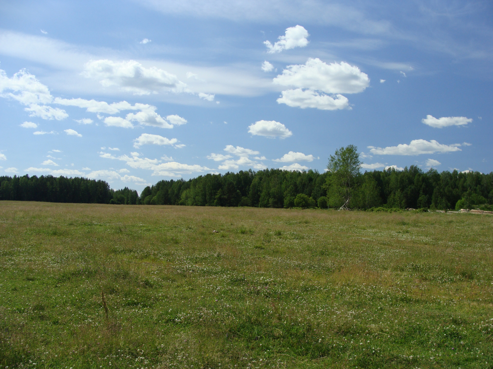Петровск Раменское озеро