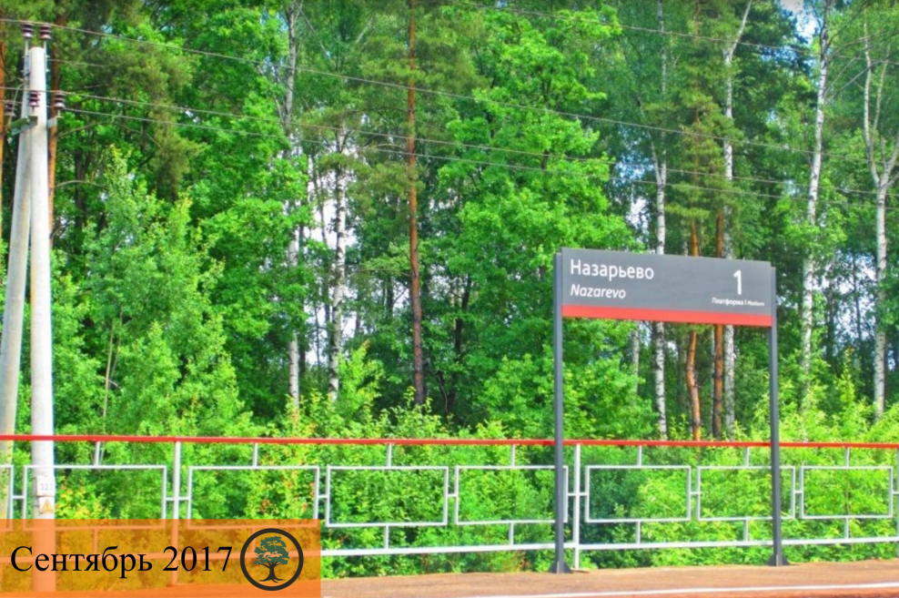 Петровский луг Павловский Посад