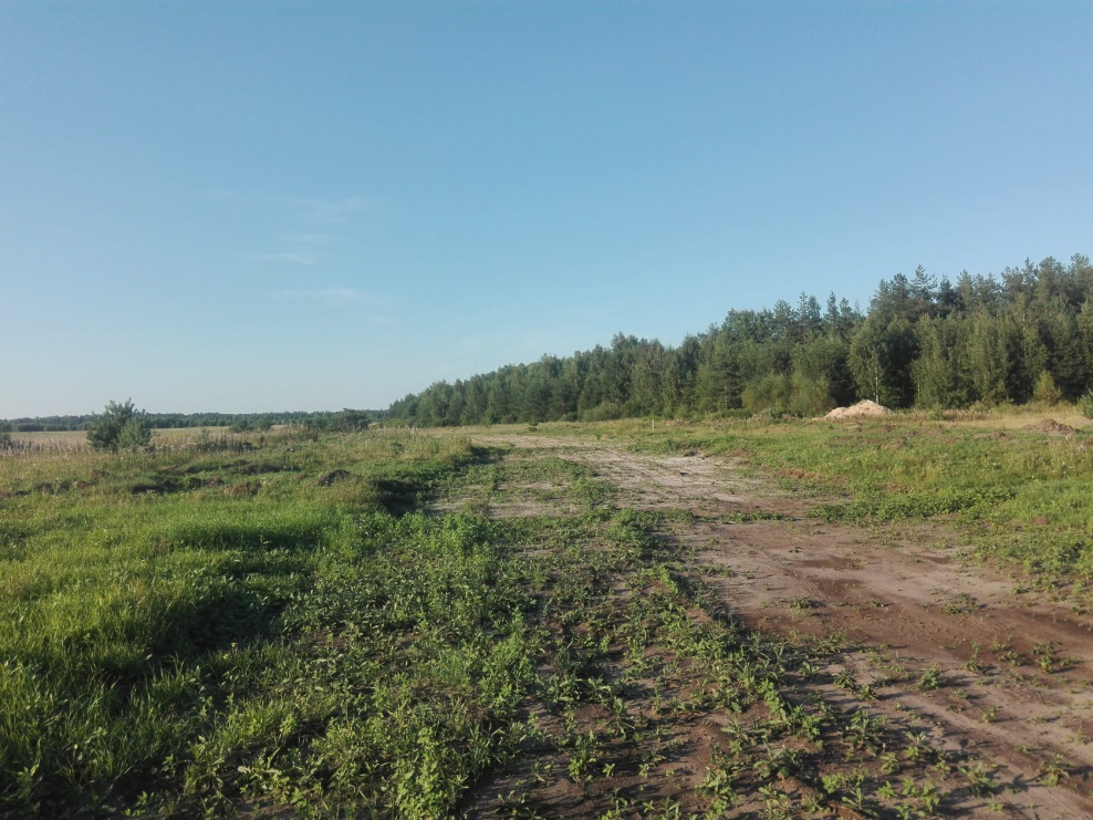 Коттеджный поселок Назарьево Павловский Посад