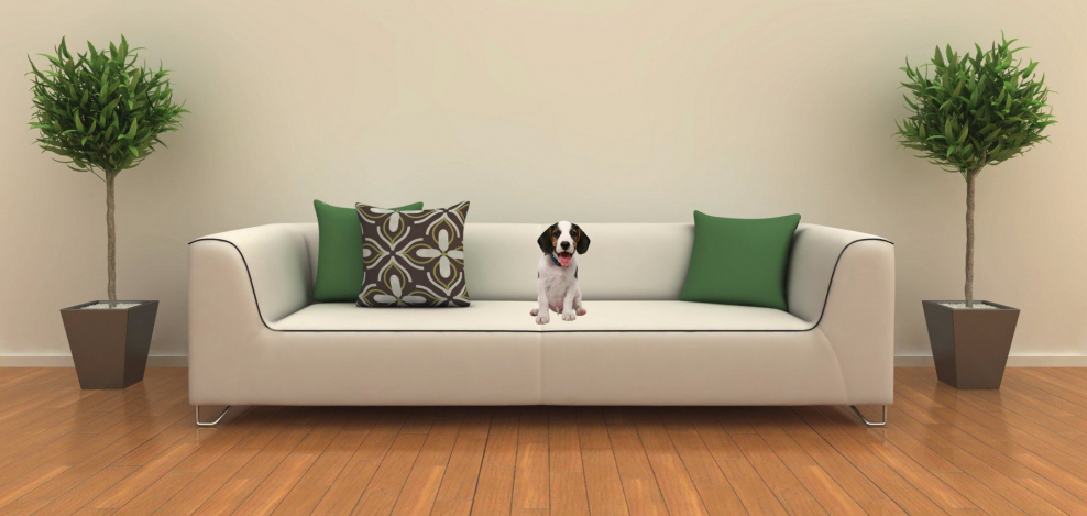 Зеленая стена