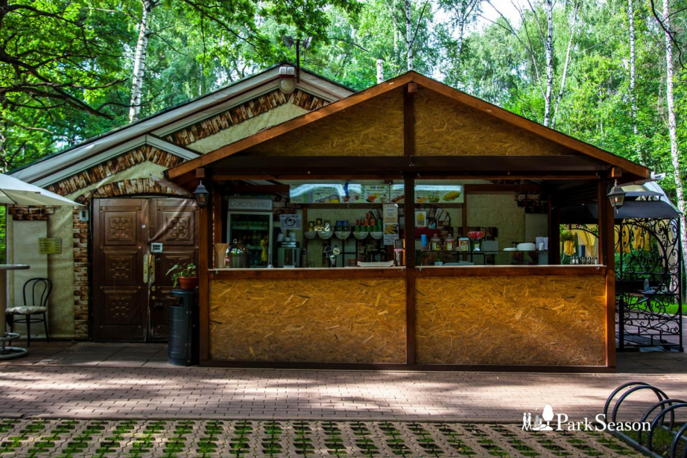 Парк Сокольники летом