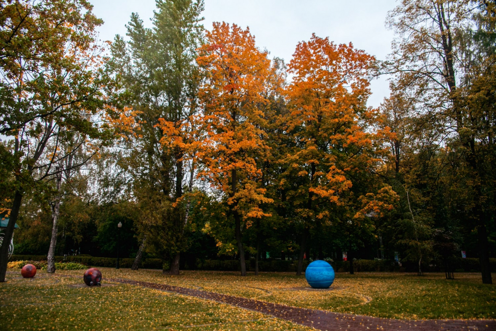 Парк Сокольники новый год