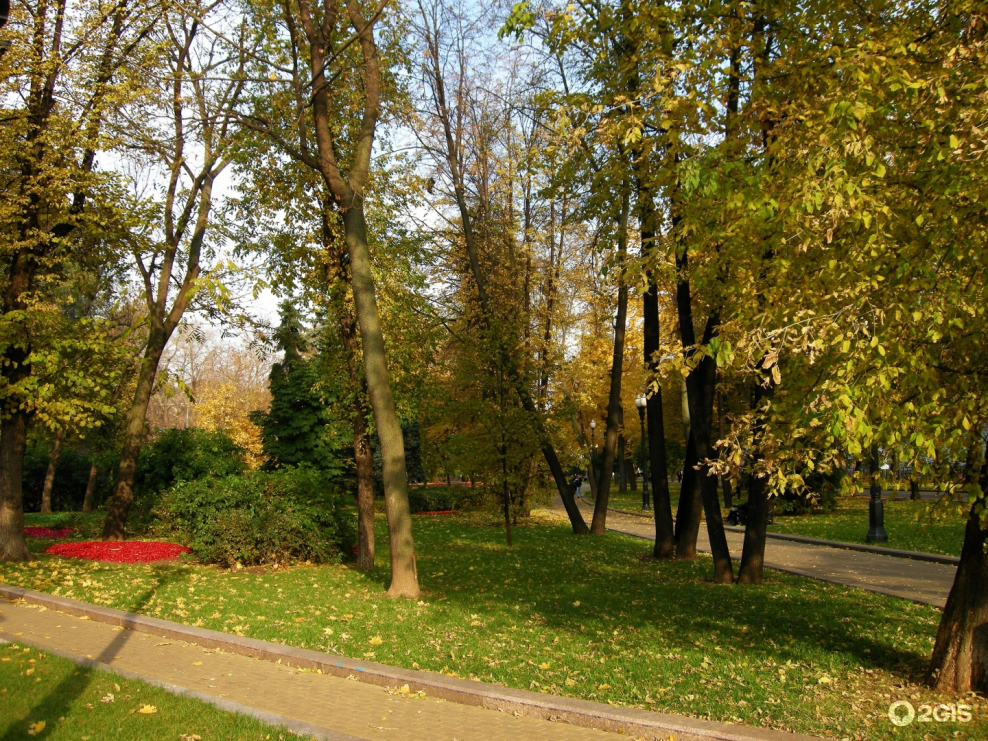 Парк Сокольники Лебедев