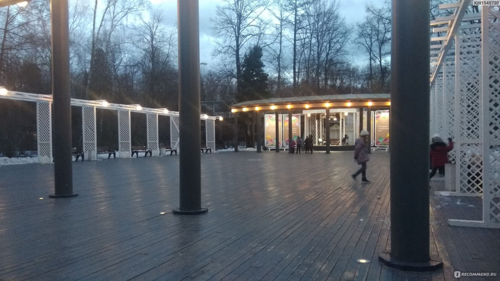 Сокольники парк веранда танцев