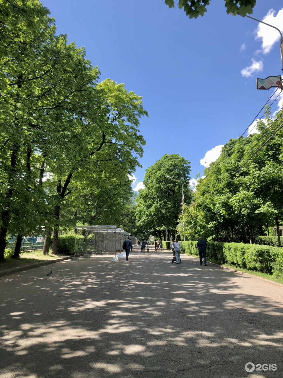 Парк Сокольники природа