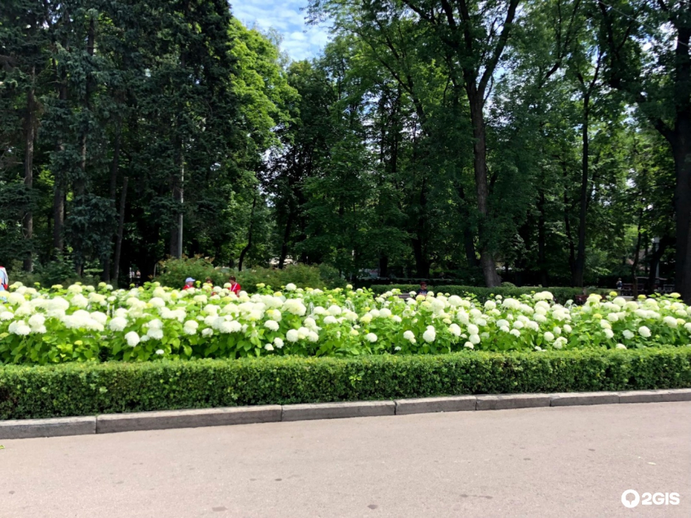 Главный вход подсветка парк Сокольники