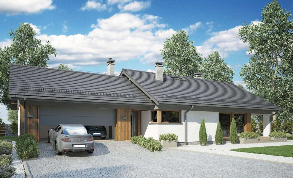 Одноэтажный дом с большим гаражом