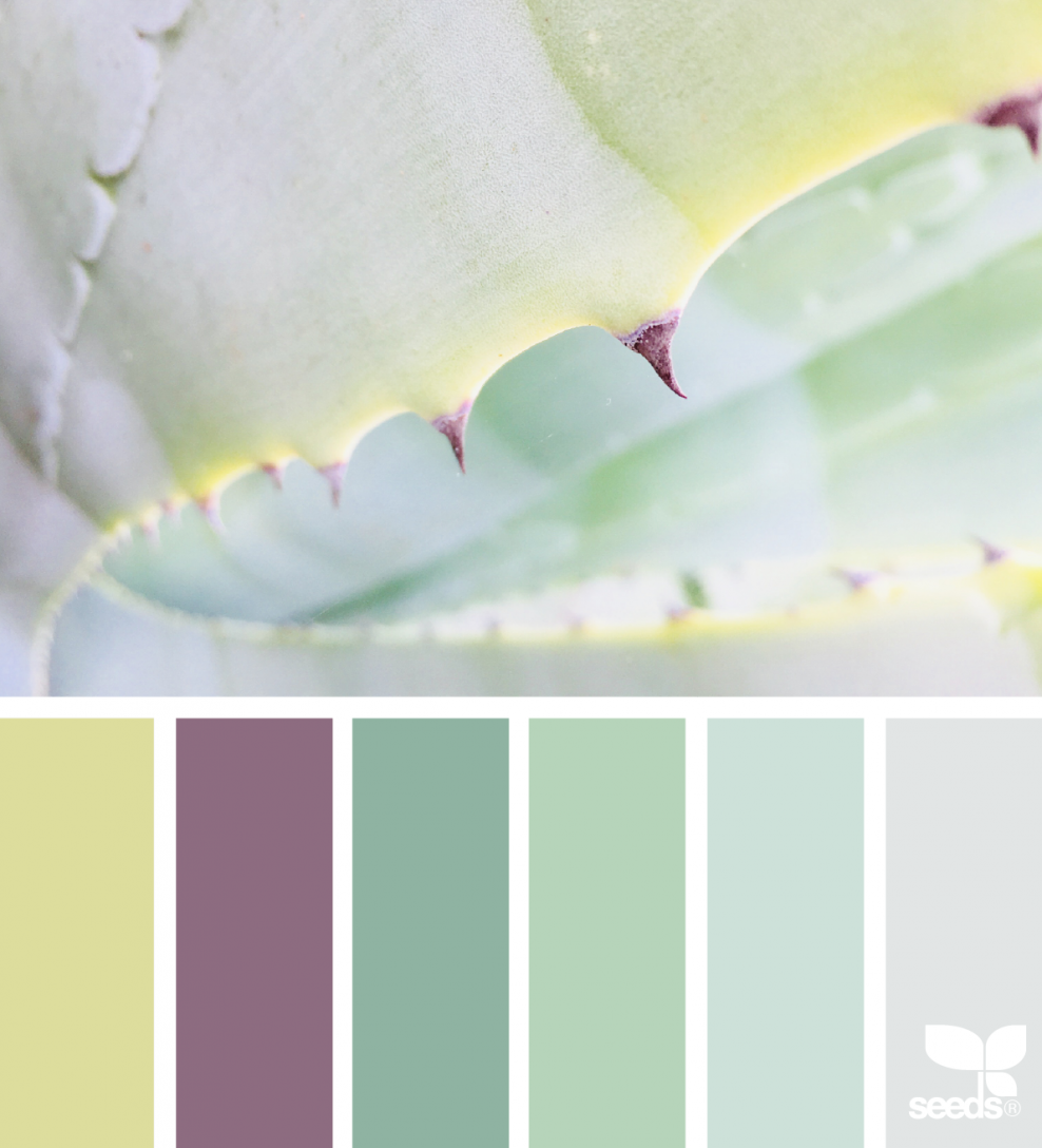 Сочетание цветов мятный