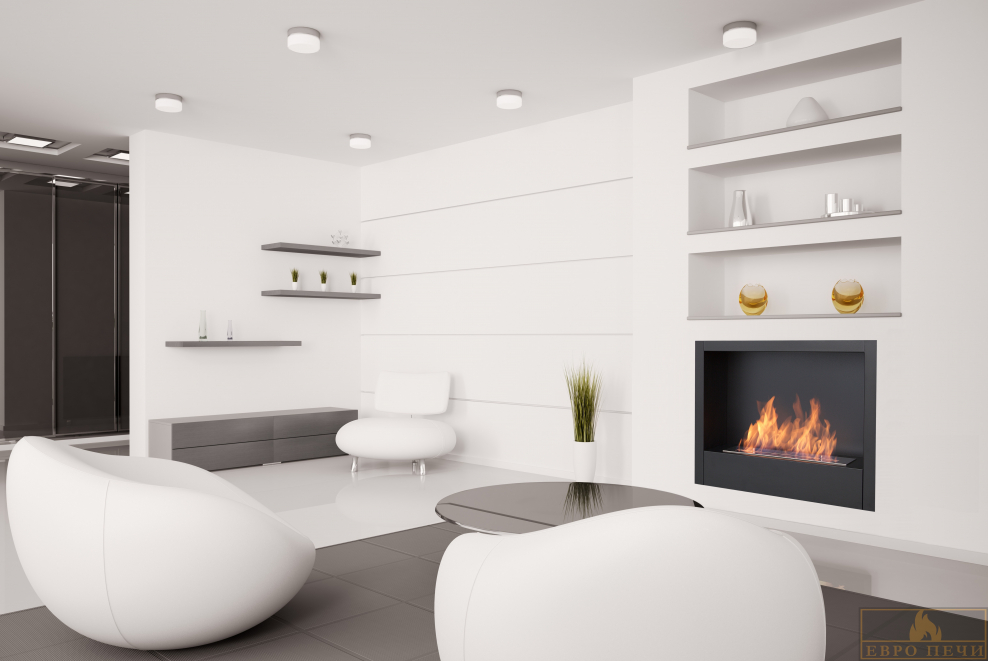 Биокамин Silver Smith Shell 2