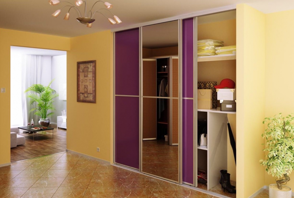 Шкаф-купе в прихожую