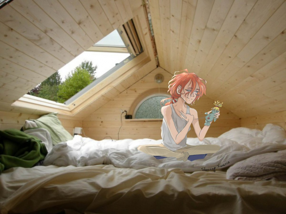 Tiny House планировки