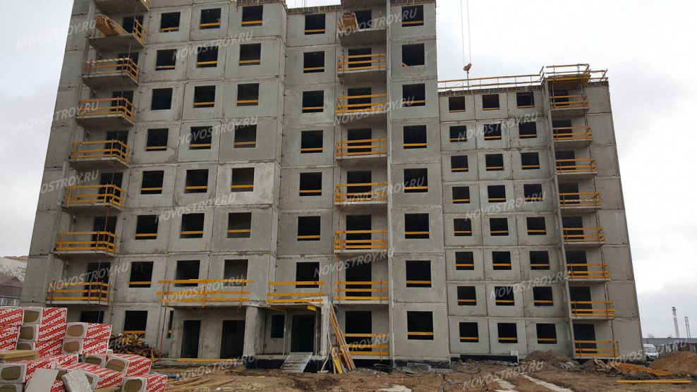 Планировка Раменское Молодежная 28а