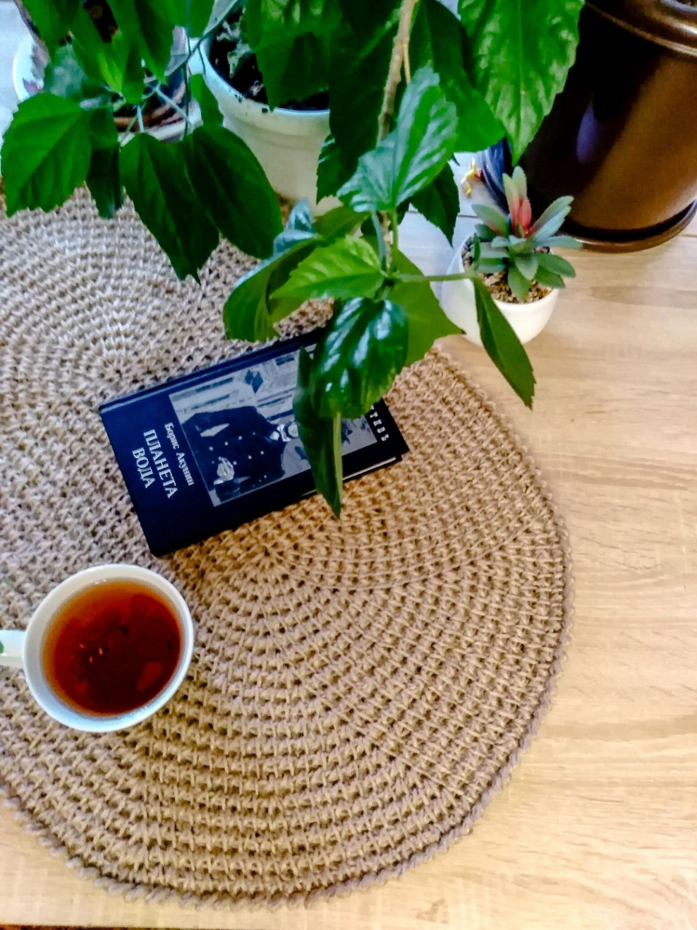 Кокосовая циновка