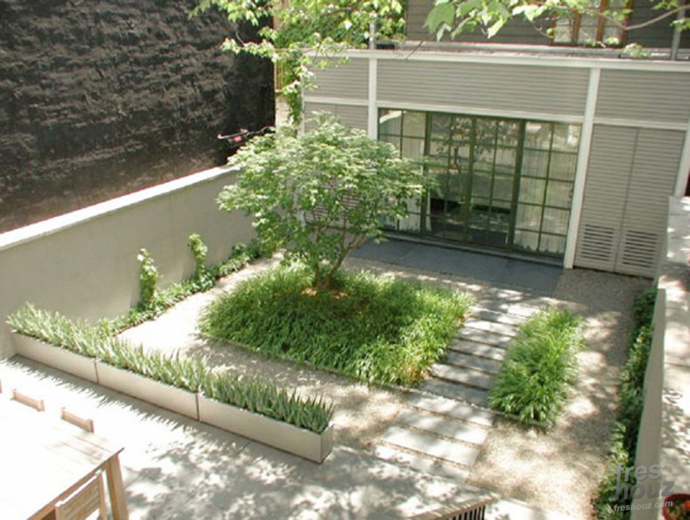 Зимний сад Минимализм