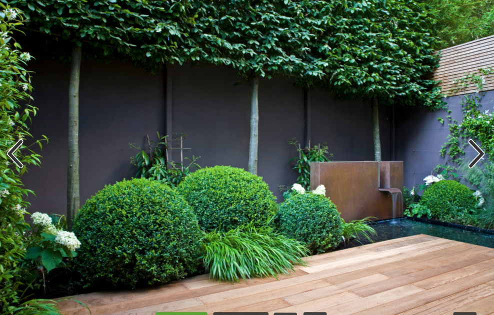 Голландский сад изгородь