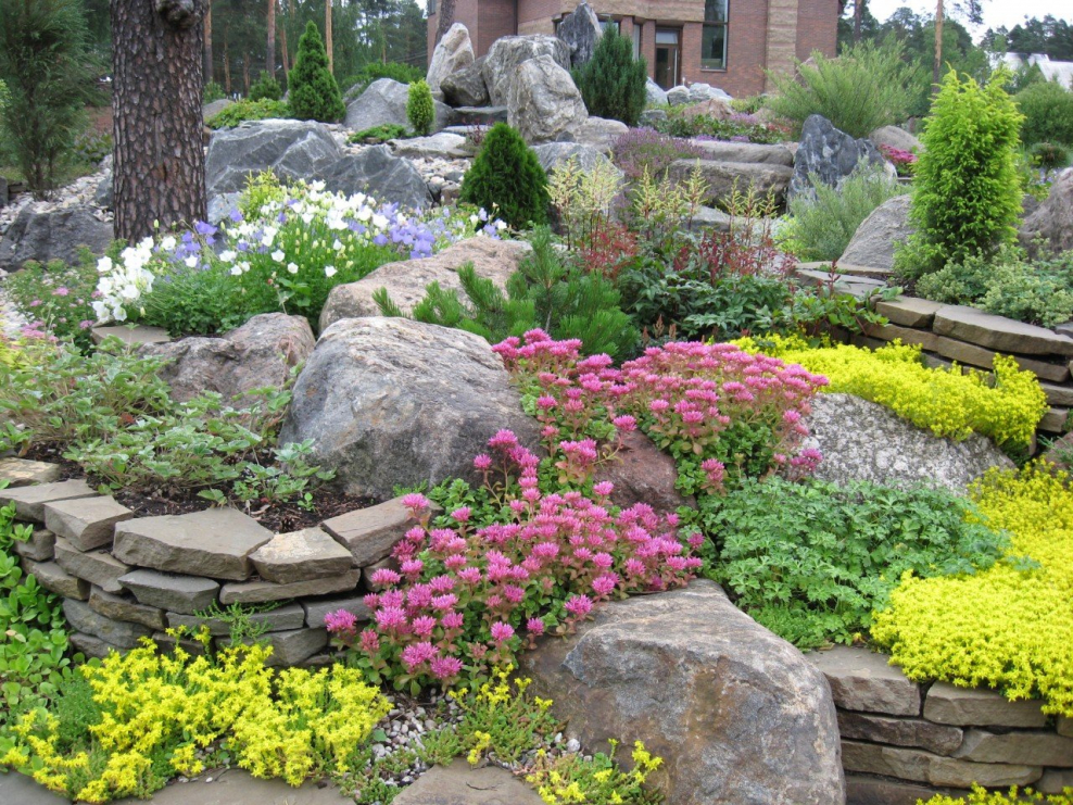 Террасированный альпинарий