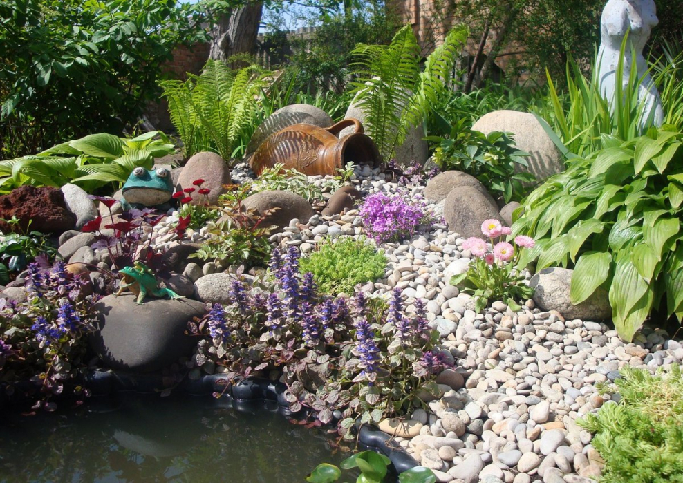 Горка с растениями и камнями