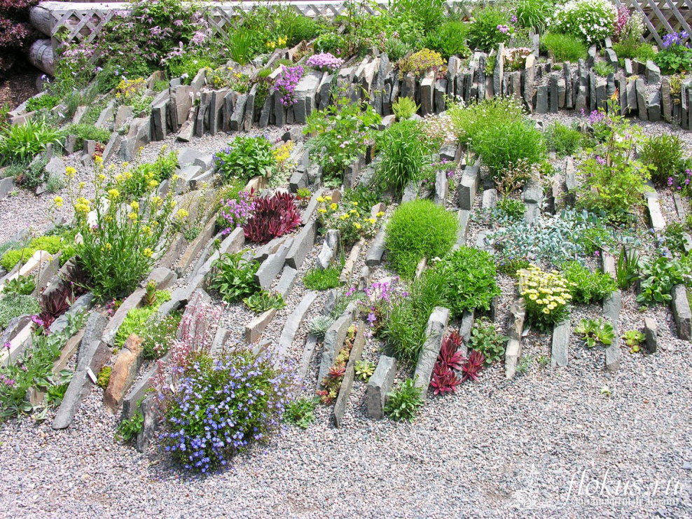 Каменистые сады Альпийская горка