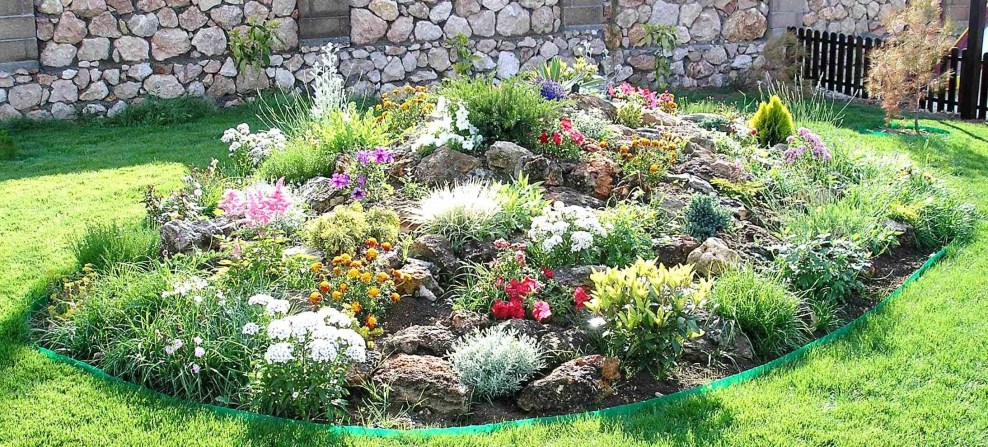 Растения альпинарии, Альпийская горка