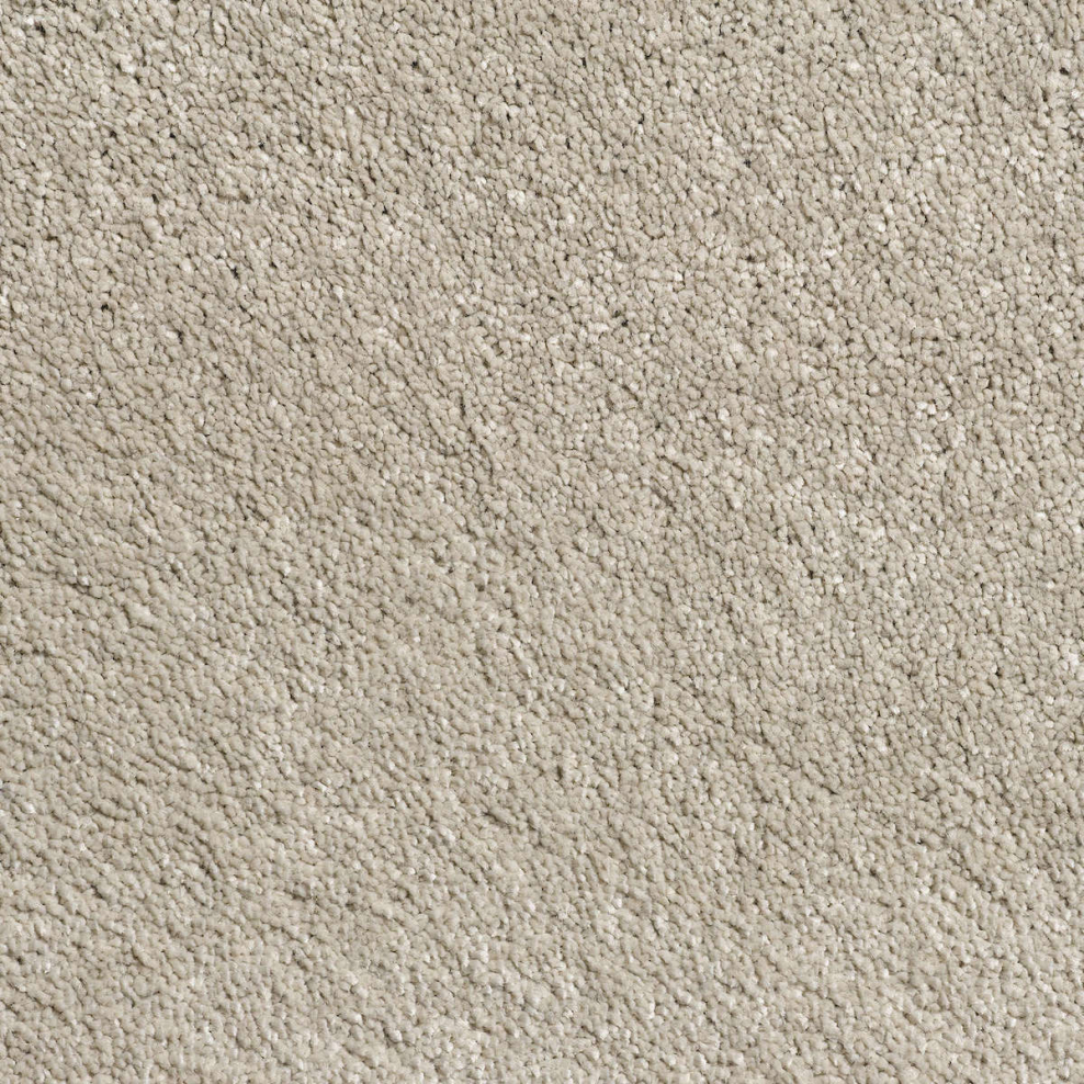 1dpi Porfido Bianco 10x10