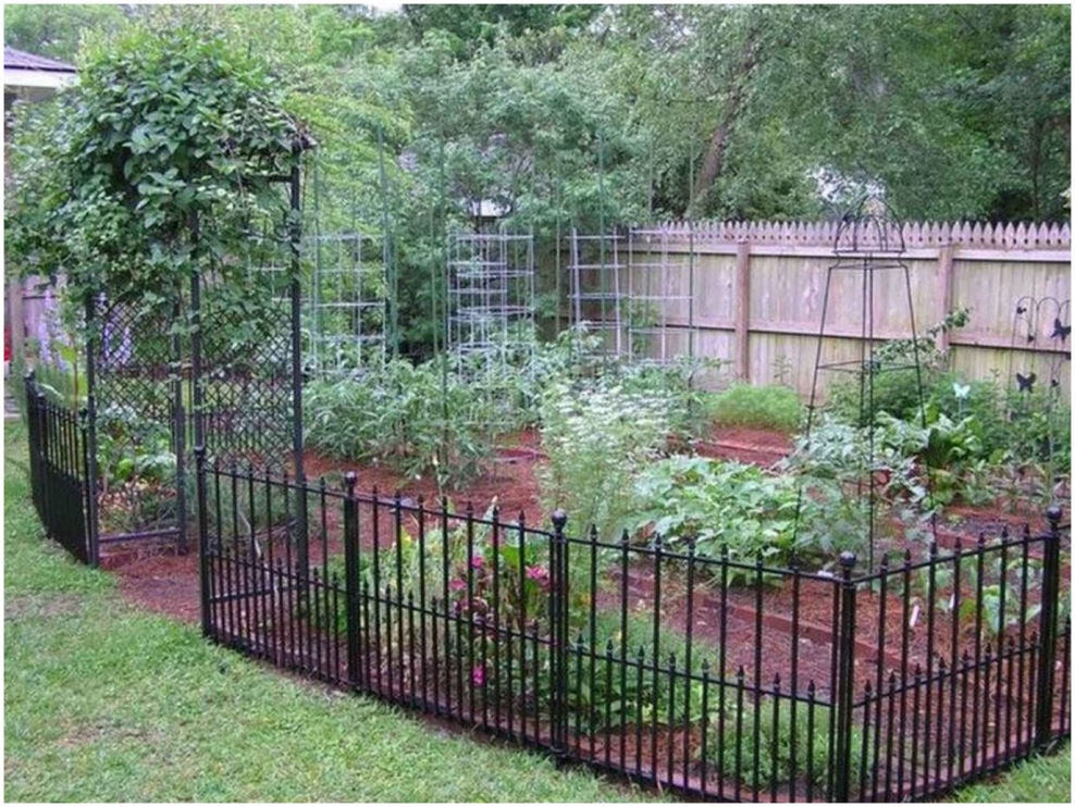 Ограждение для огорода