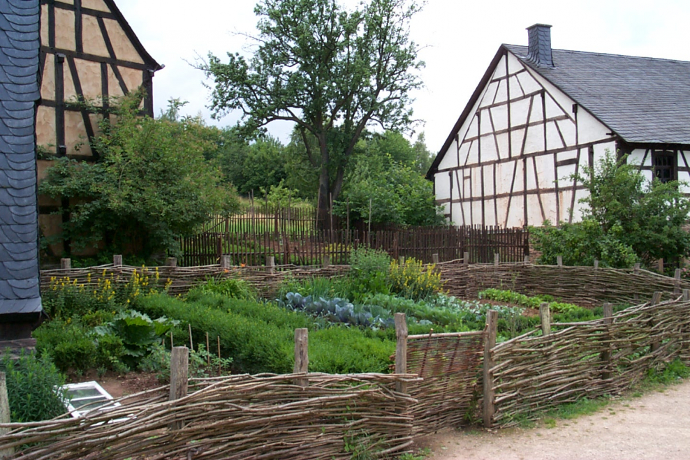 Пермакультура изгородь