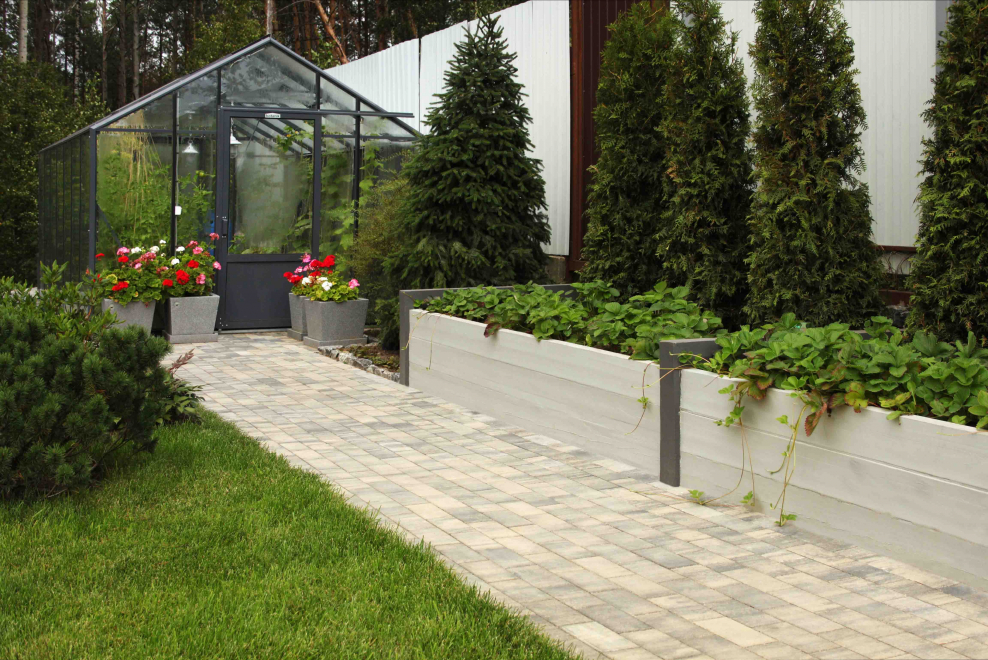 Зонирование огорода живой изгородью