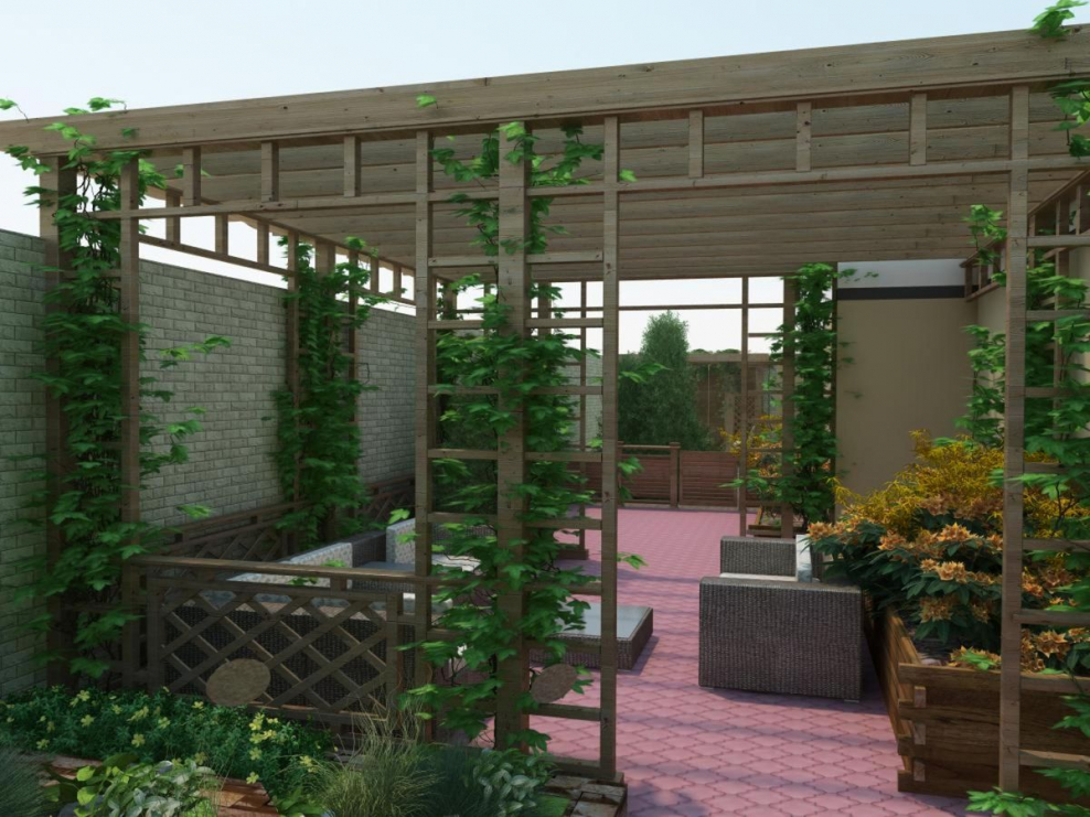 Зонирование участка перголами