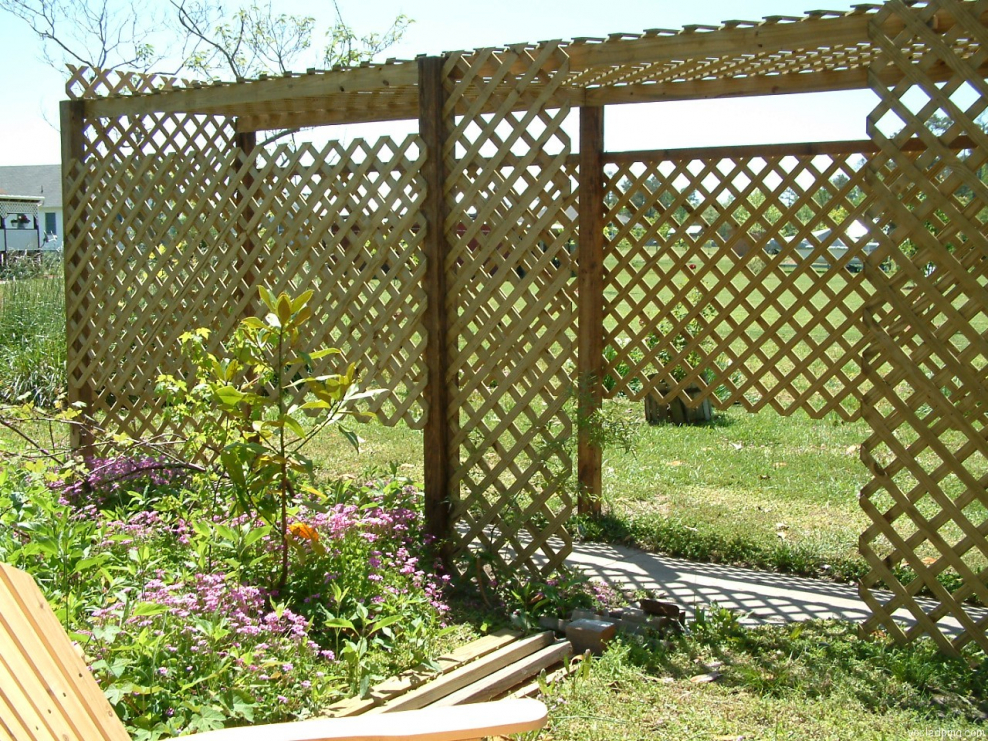 Трельяж для виноградных лоз