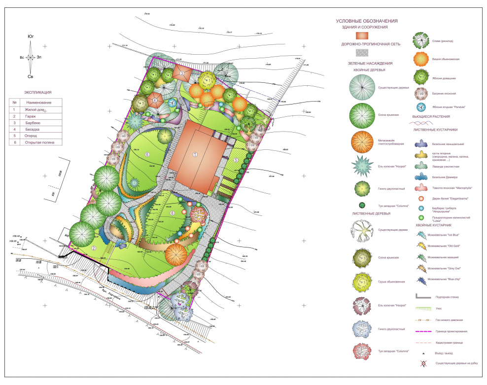 Дендроплан рокария