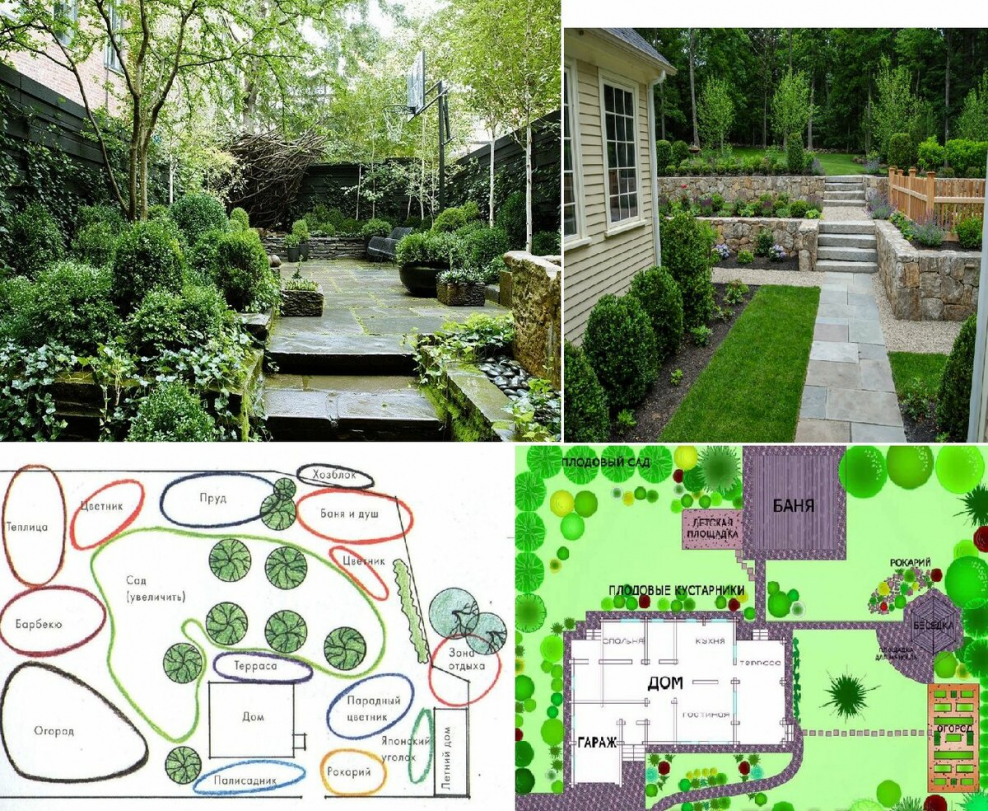 Расположение растений на участке