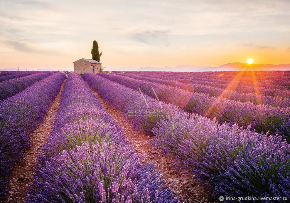 Лефкадия Лаванда